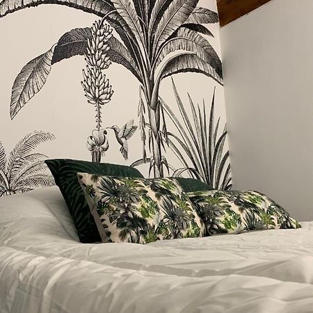 Appartement Cosy Centre Historique Avinyon Dış mekan fotoğraf
